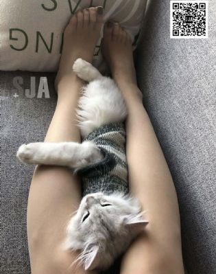 庆余年3第95集免费观看_剧情片高清完整版
